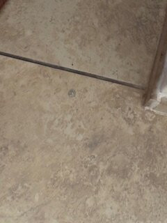 克尔维尔智选假日酒店主图