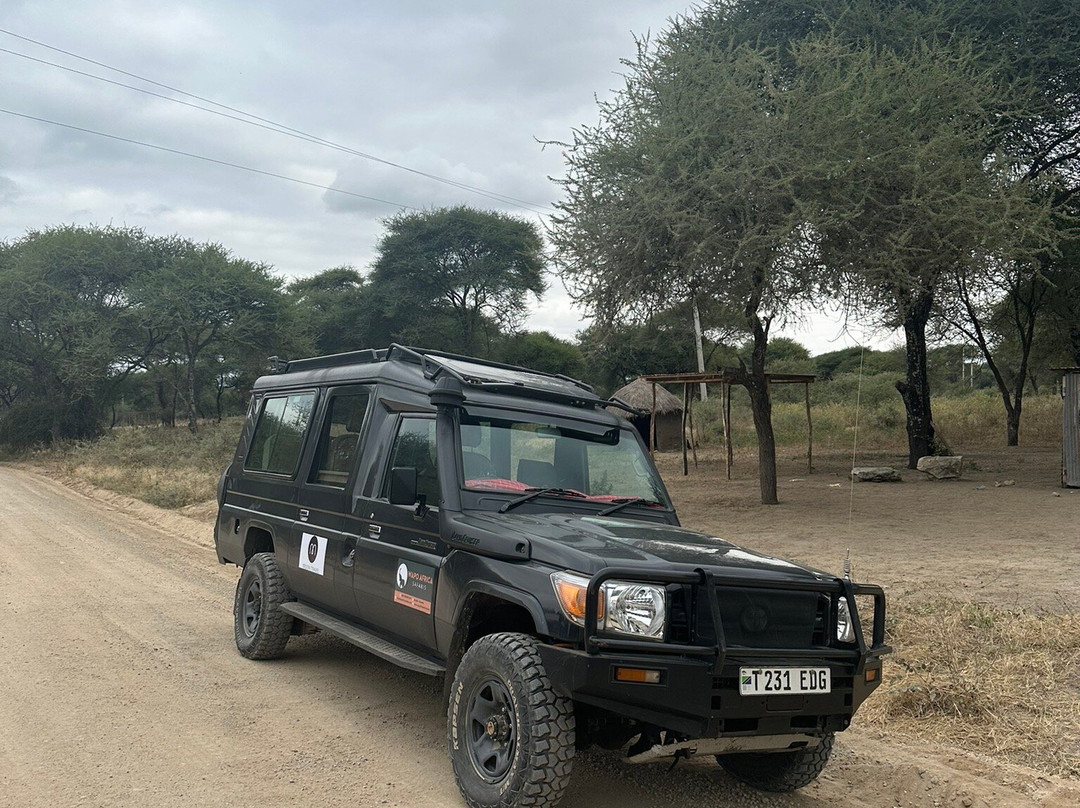 Wapo Africa Safaris Ltd-阿鲁沙必去景点