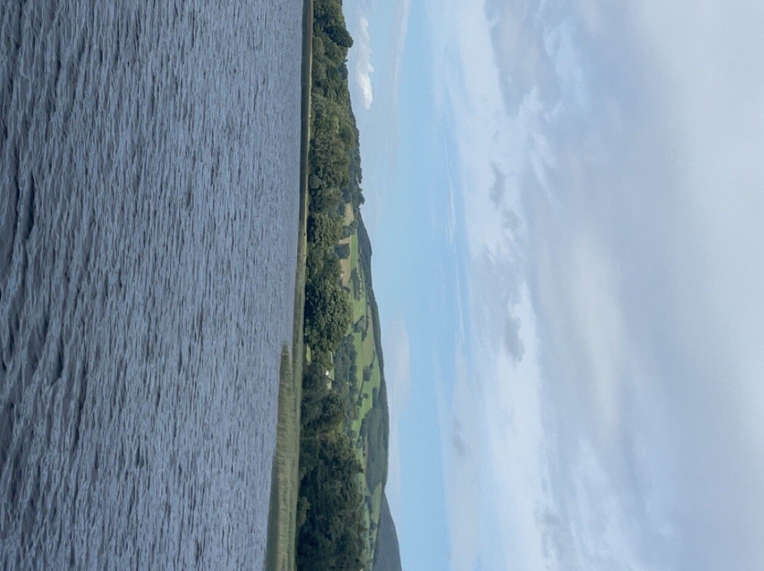 Killaloe River Cruises-Killaloe必去景点