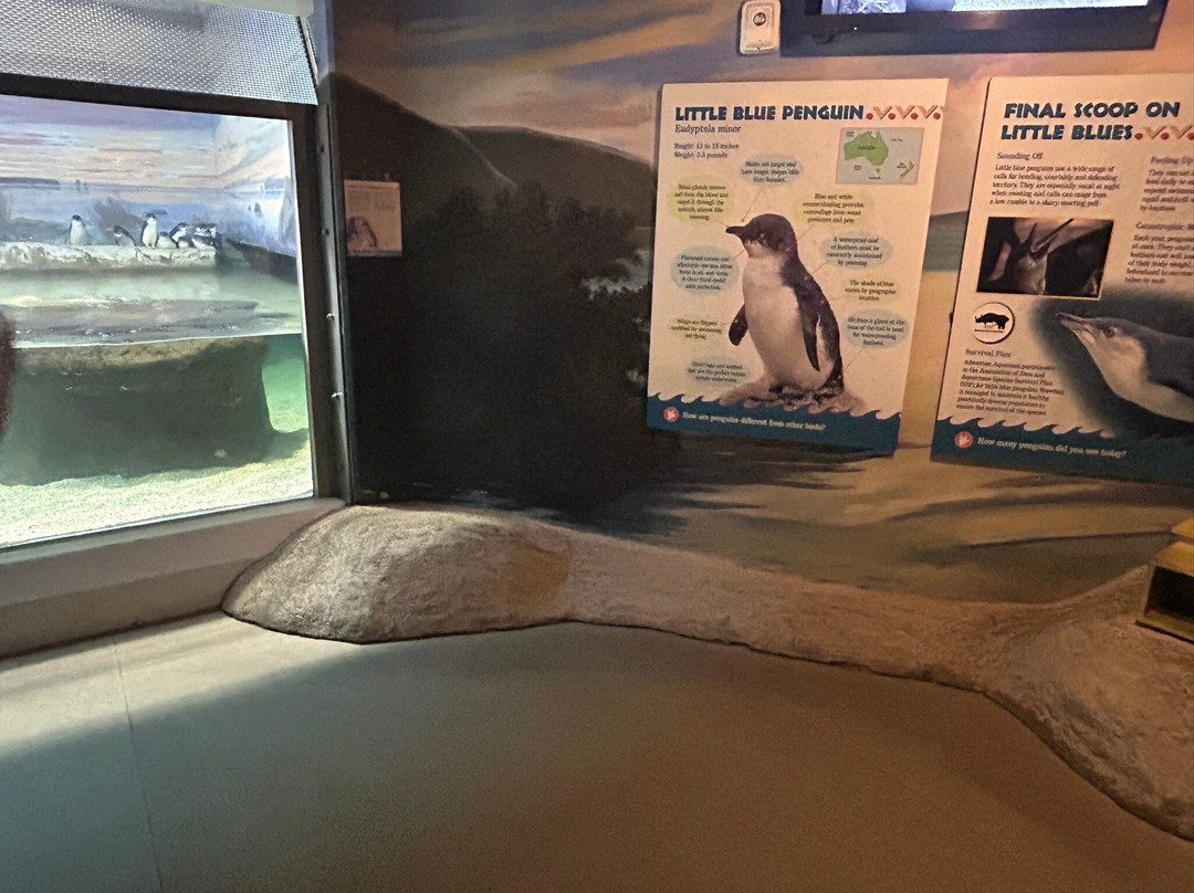 Adventure Aquarium-肯顿必去景点