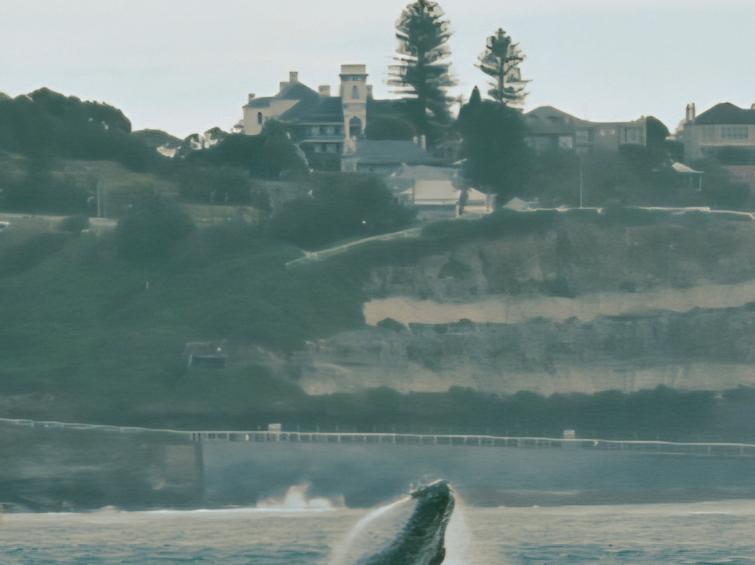 Nova Cruises-纽卡斯尔必去景点