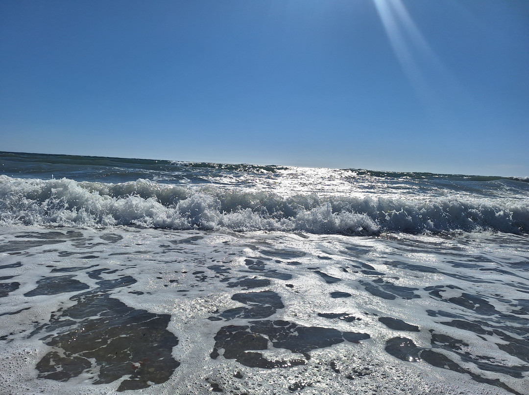 Adonis Hotel & Apartments主图