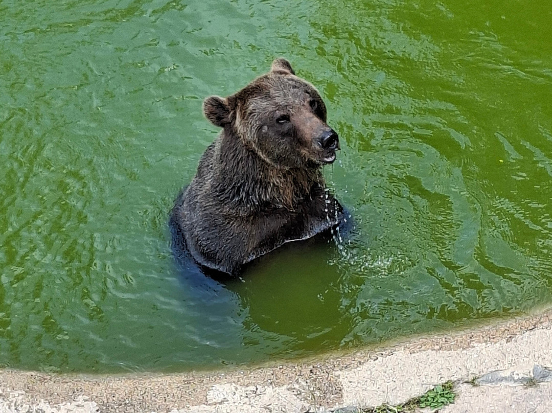 Wild- & Freizeitpark-Klotten必去景点