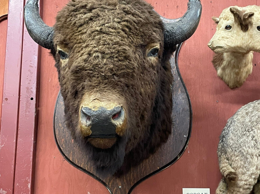 Pioneer Museum of Valley County-Glasgow必去景点