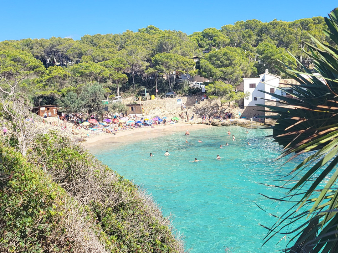 Cala Gat-Cala Ratjada必去景点