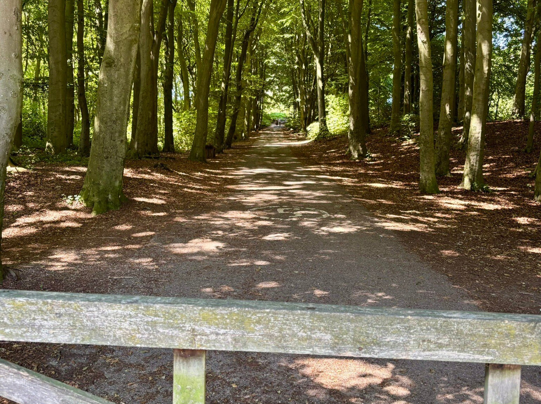 Stafford Castle-斯塔福德必去景点