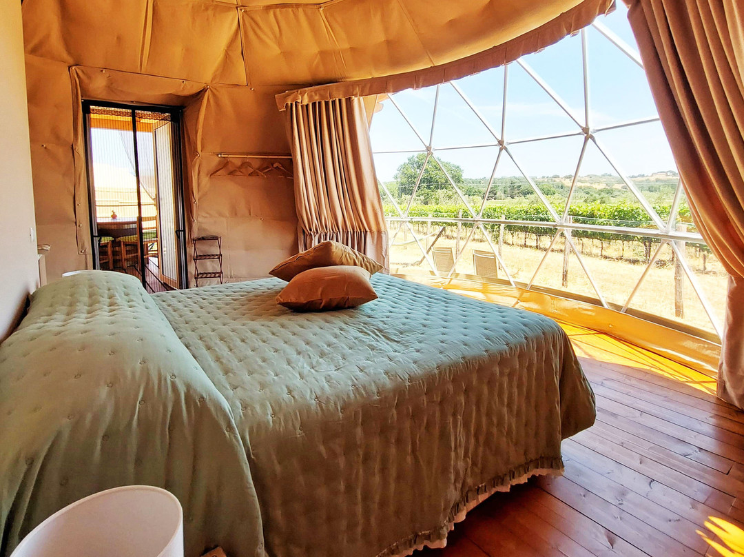 Le Stelle Di Elisa - Wine & Truffle Glamping