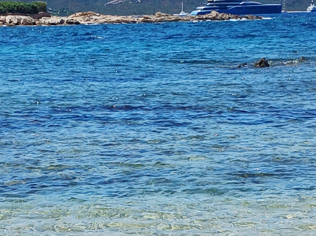 Spiaggia Punta Volpe-Porto Rotondo必去景点