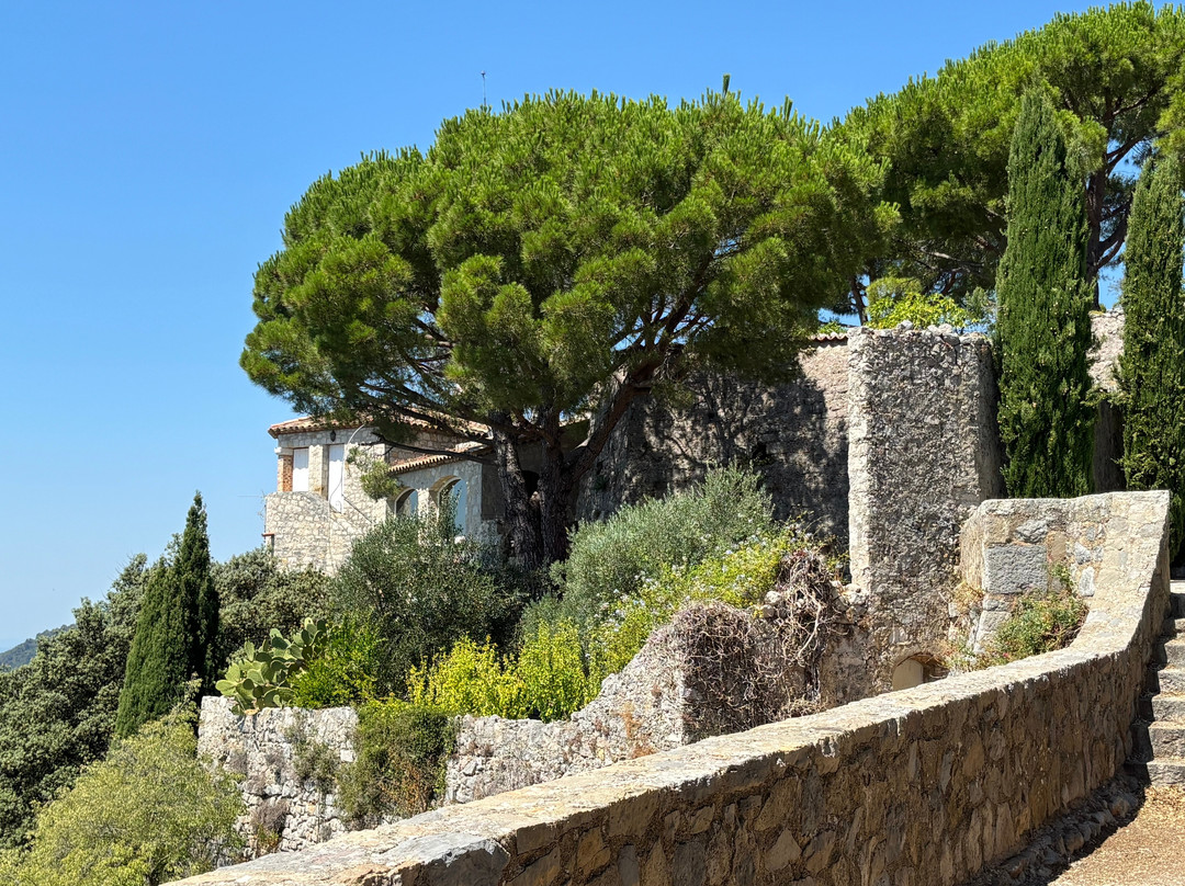 Auberge du Vieux Chateau主图