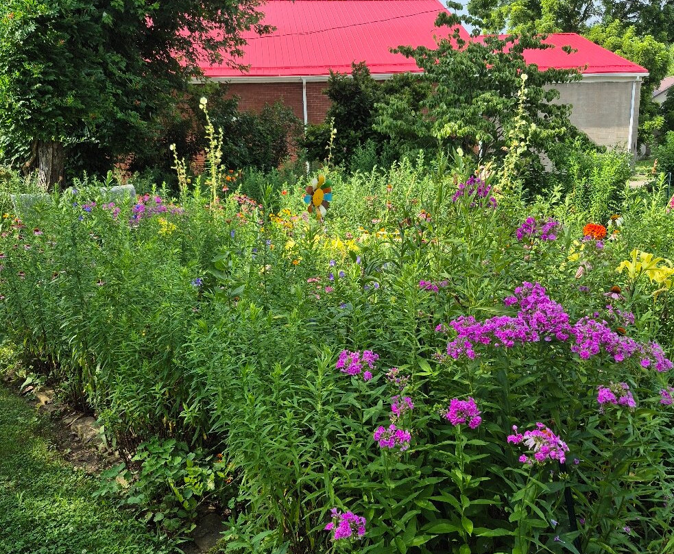 Adele's bed and breakfast主图