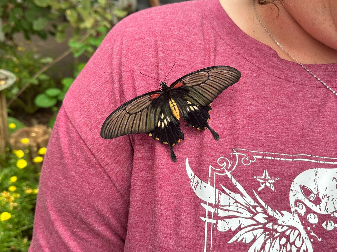 Gardens of Hope-New Glasgow必去景点