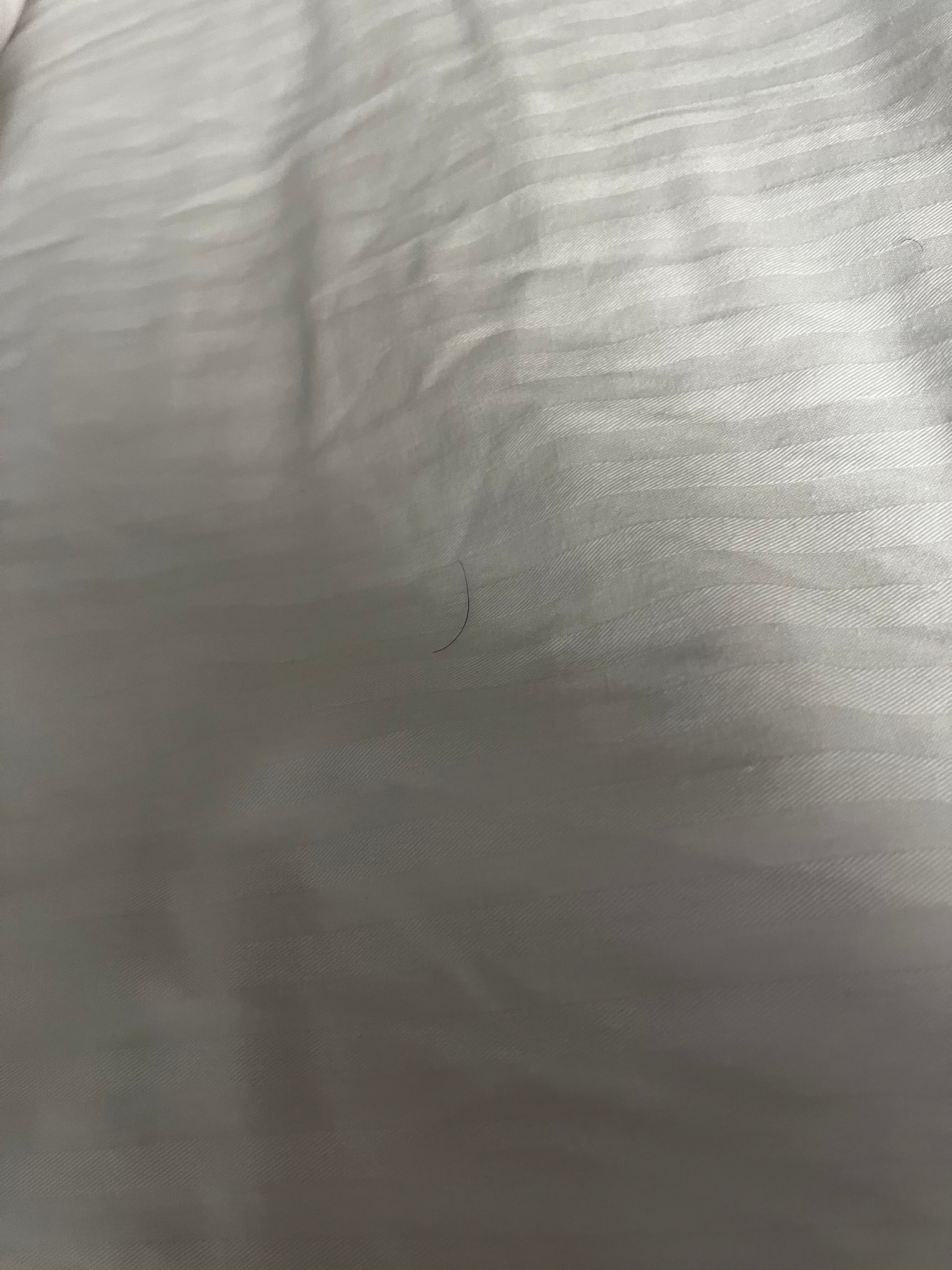 La Quinta Inn & Suites by Wyndham Columbus MS-官方