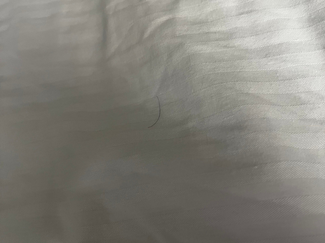 La Quinta Inn & Suites by Wyndham Columbus MS主图