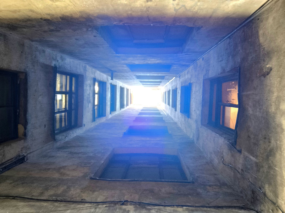 St. Petersburg Walks With Dmitry Kaplun-圣彼得堡必去景点