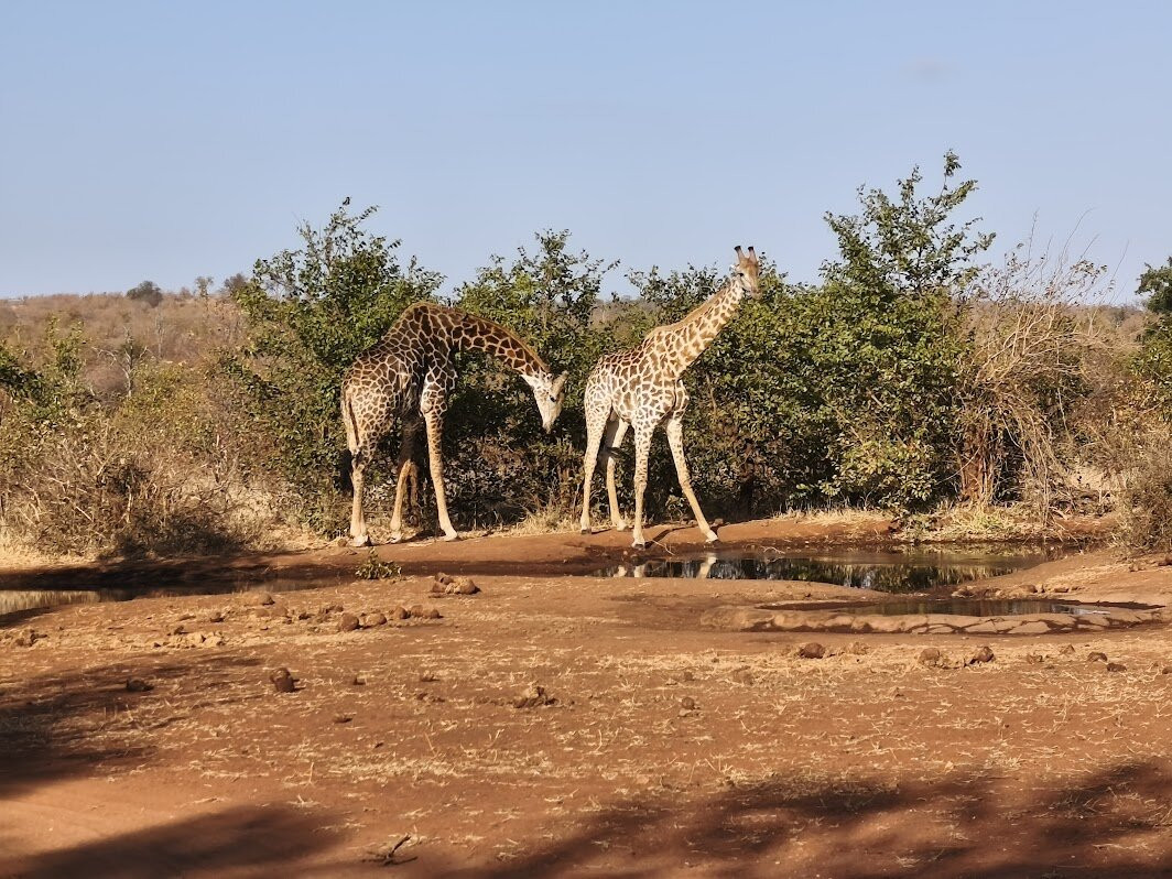 Ngalali Retreat主图