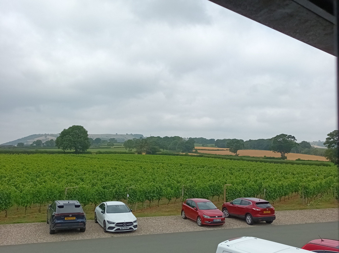 Kerry Vale Vineyard-Church Stoke必去景点