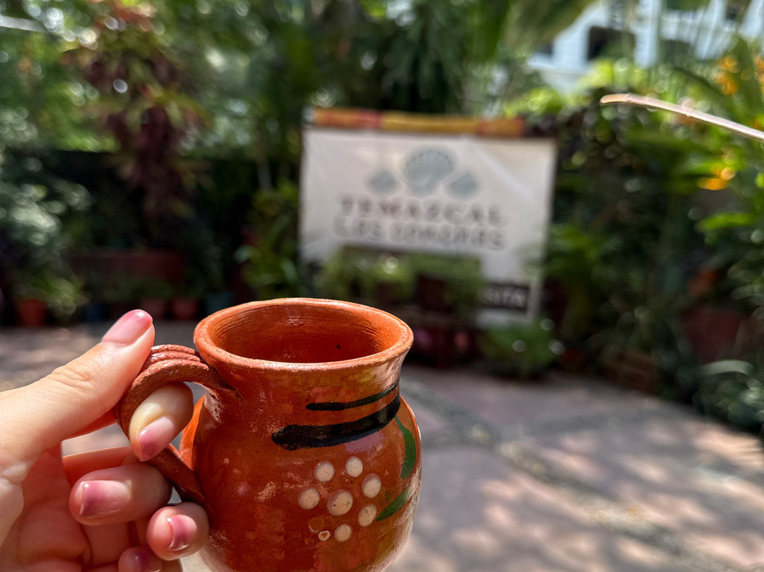 Las Conchas Spa & Temazcal-Crucecita必去景点