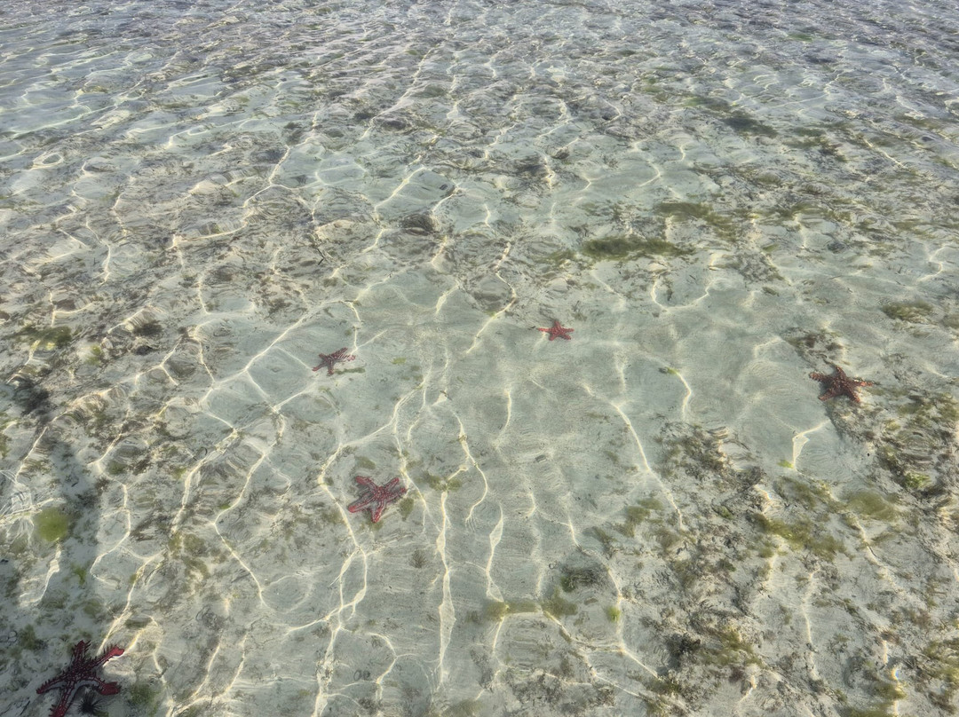 Matemwe酒店住宿-The Mora Zanzibar