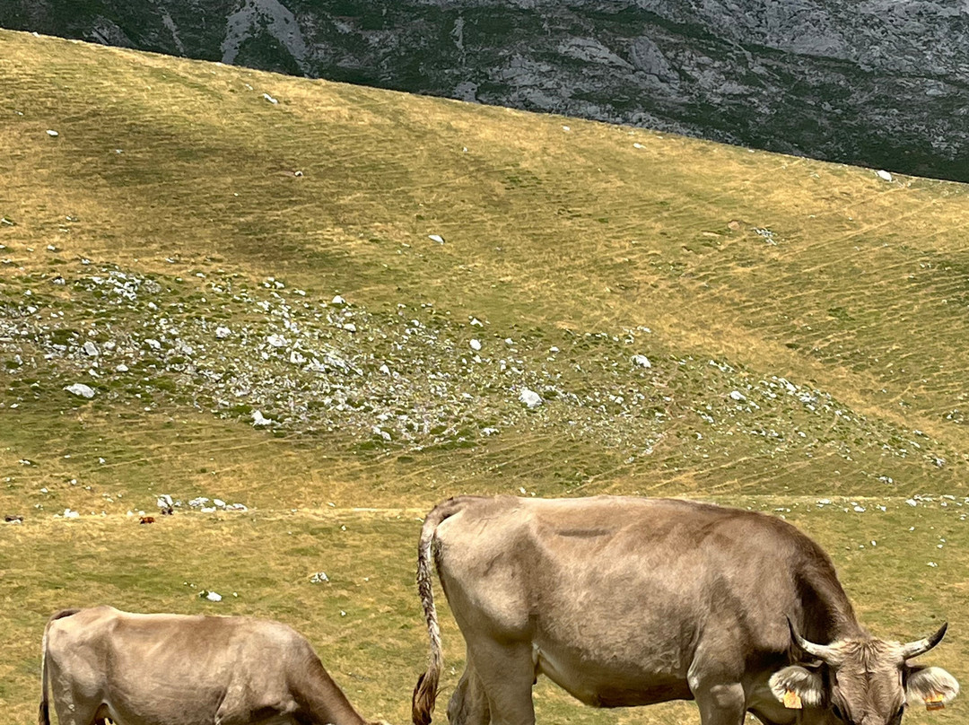 圣佩拉约旅馆主图