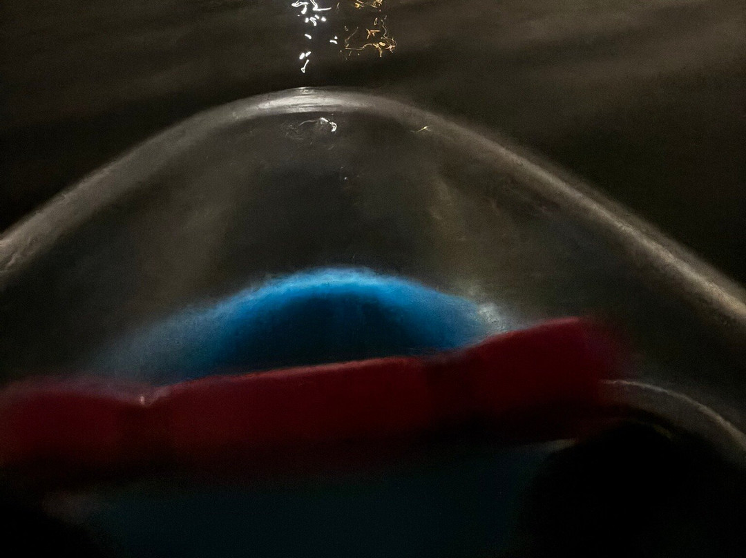 Epic Paddle Adventures-奥兰多必去景点