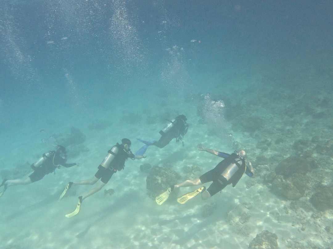 Equinoxe Ecole Seychelloise de Plongee-博瓦隆必去景点