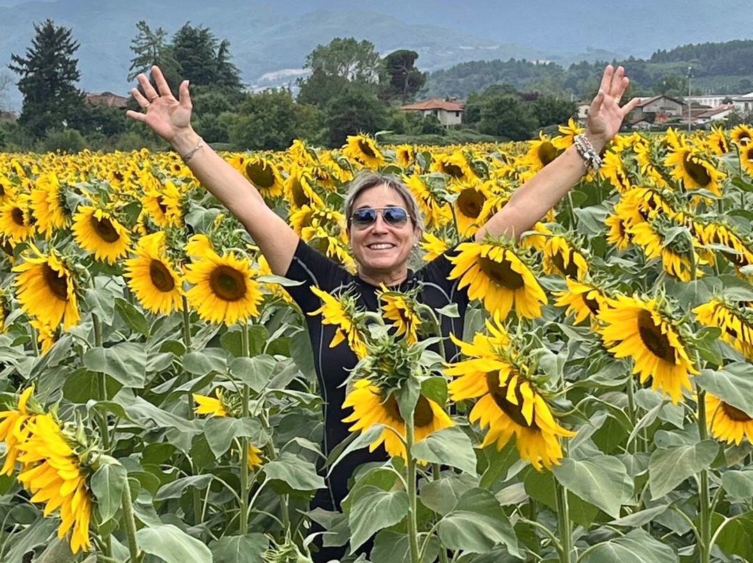 Casentino Escursioni-波皮必去景点