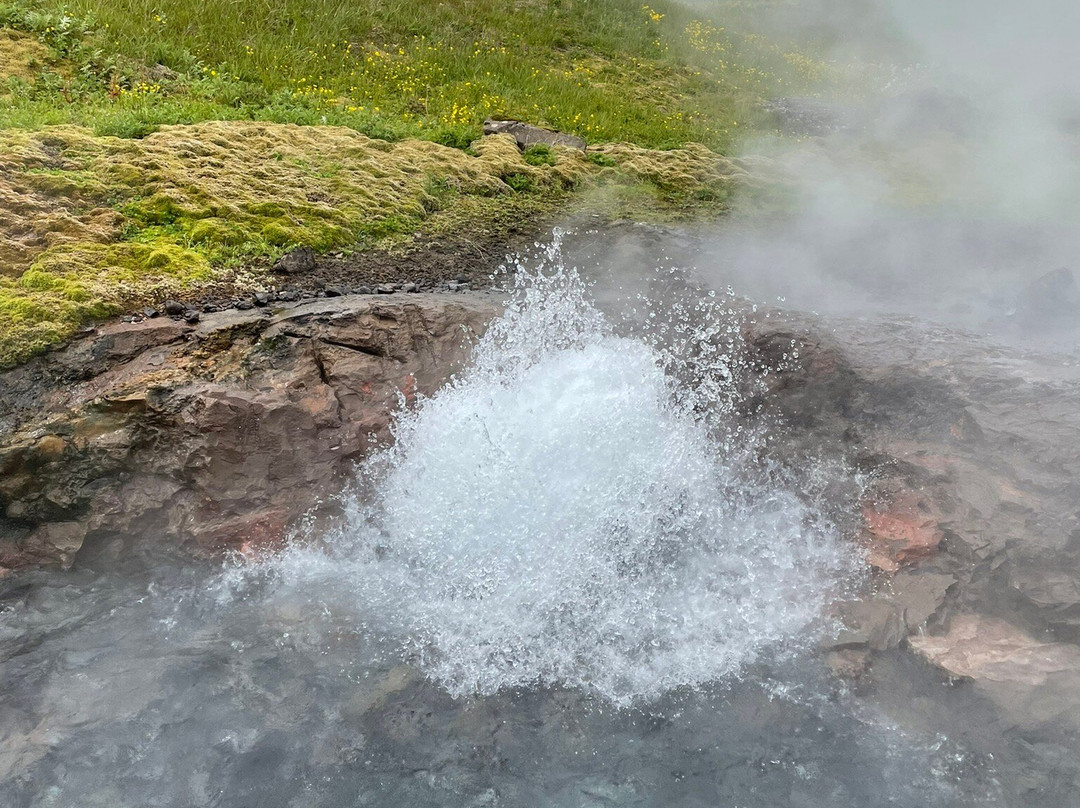 Deildartunguhver Thermal Spring-Reykholt必去景点