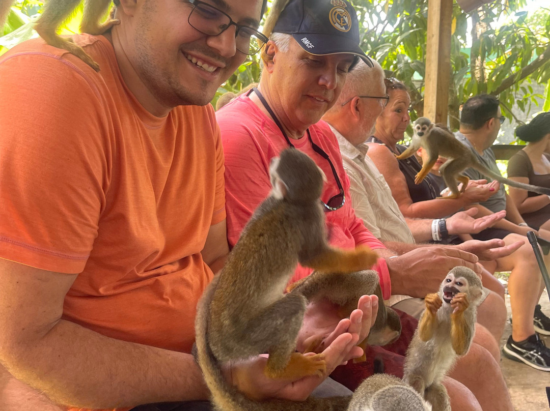 Runners Adventures-普拉塔港必去景点