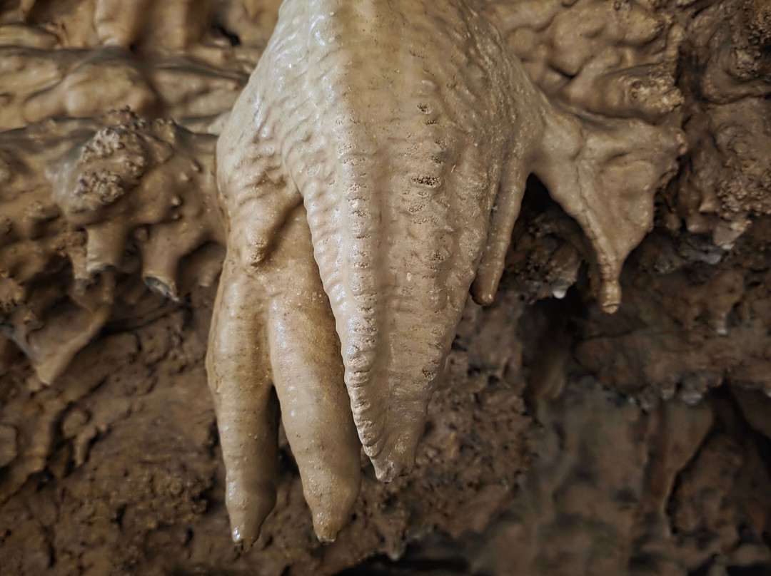 Grotte di Equi-Equi Terme必去景点