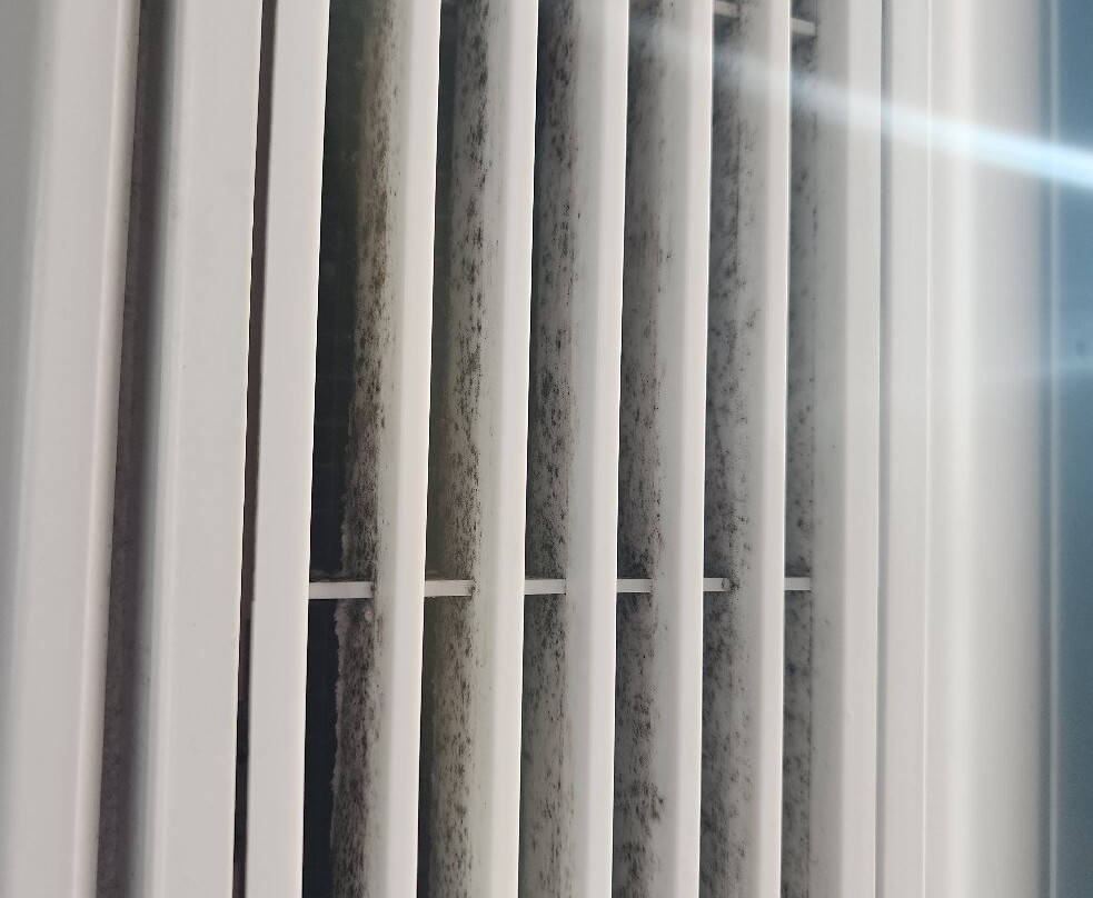 Fairfield Inn & Suites Houston Missouri City主图