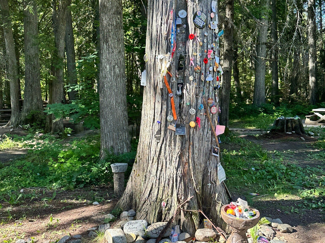 Blaze Creek Rest Area