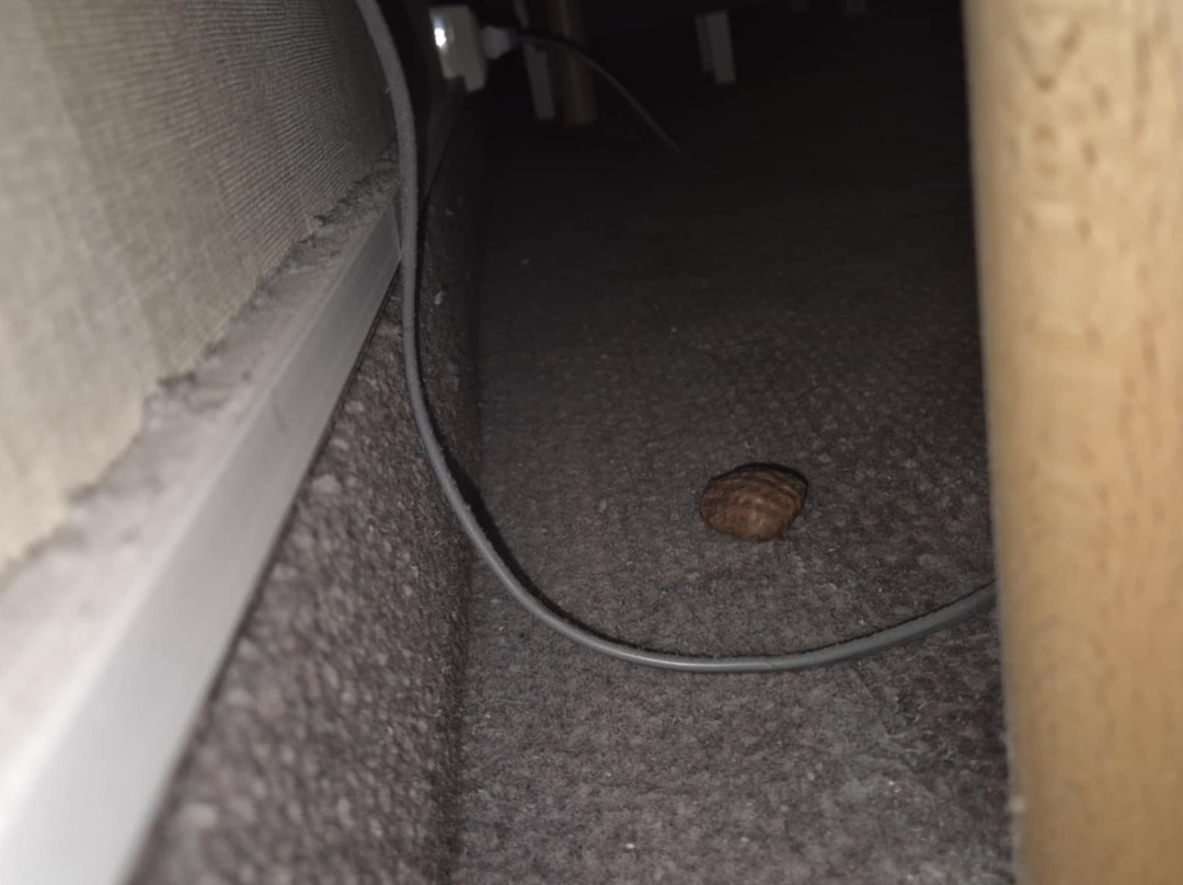 Scandic Valdres主图