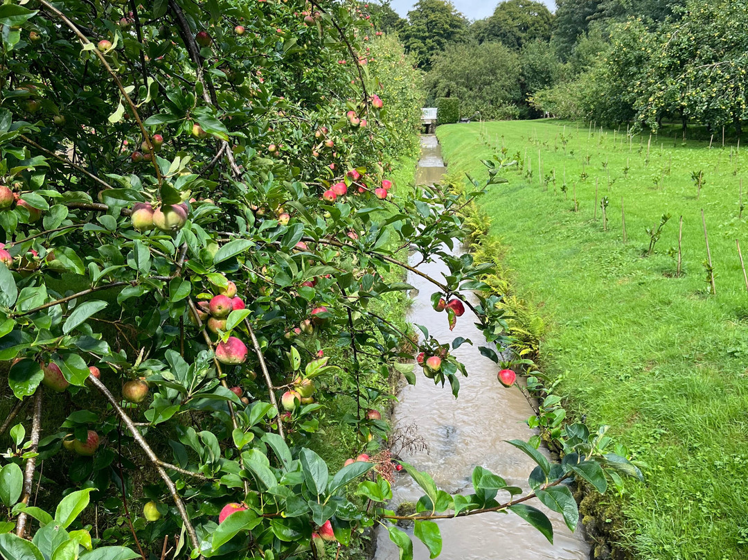 Colclough Walled Garden-Saltmills必去景点