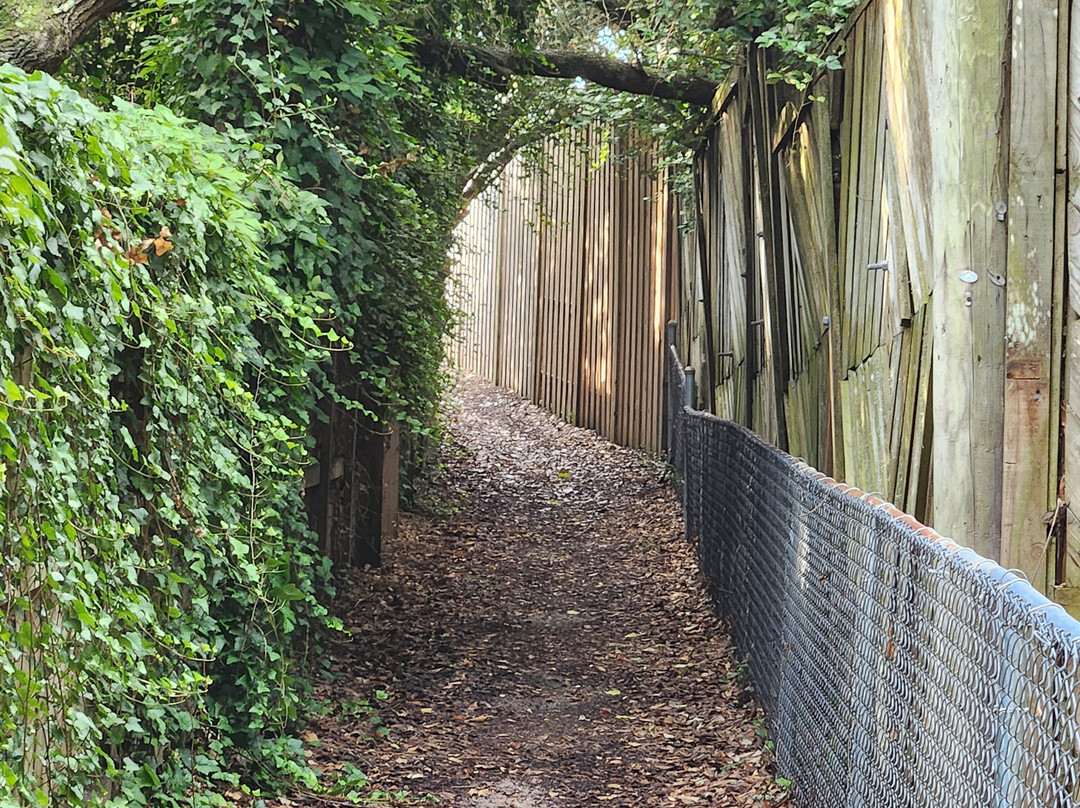 The William & Garland Motel主图