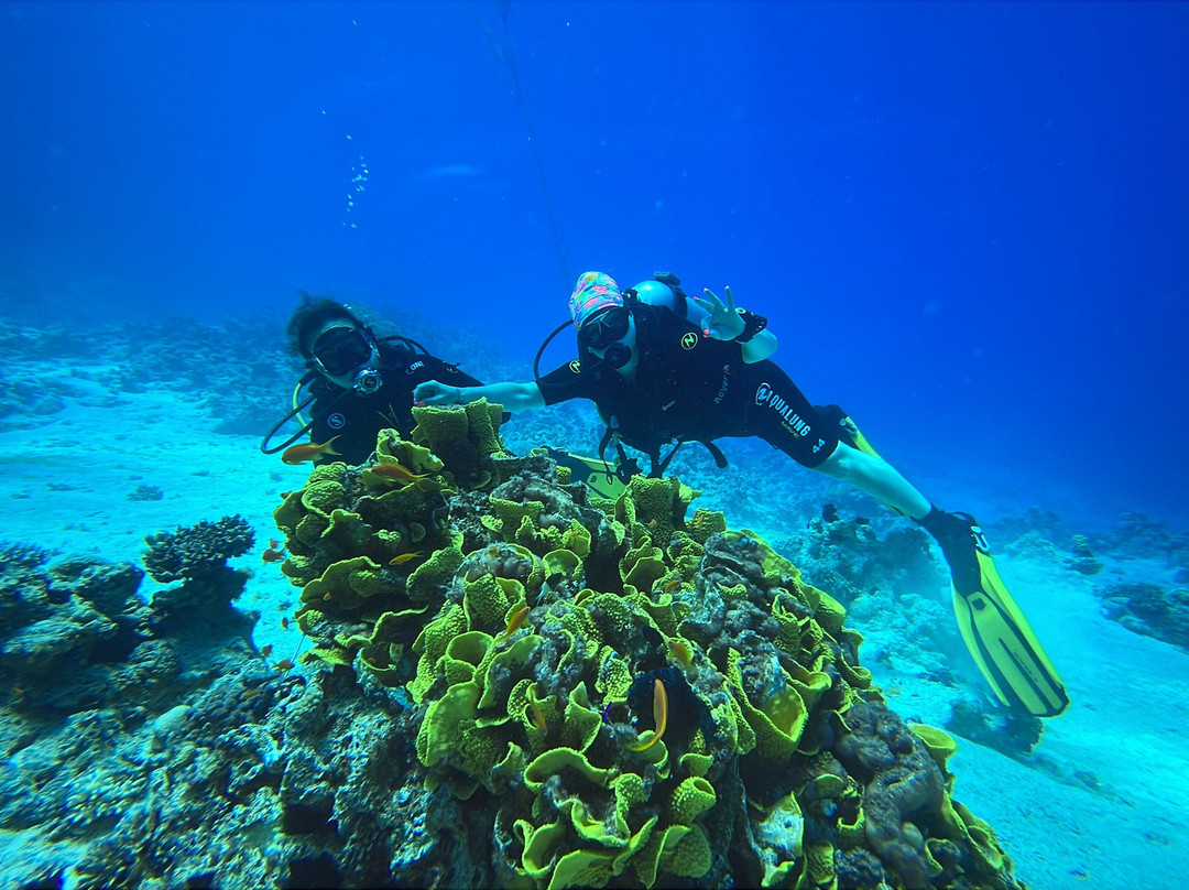 Eagle Divers Egypt-沙姆沙伊赫必去景点