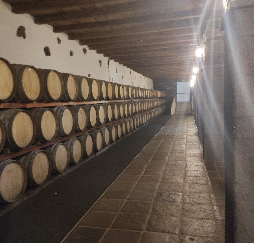 Bodegas Rubicon-Yaiza必去景点