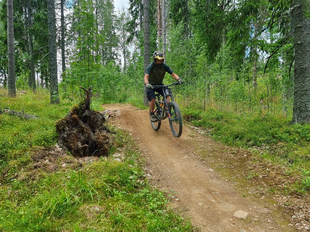 Kungsberget-Jarbo必去景点