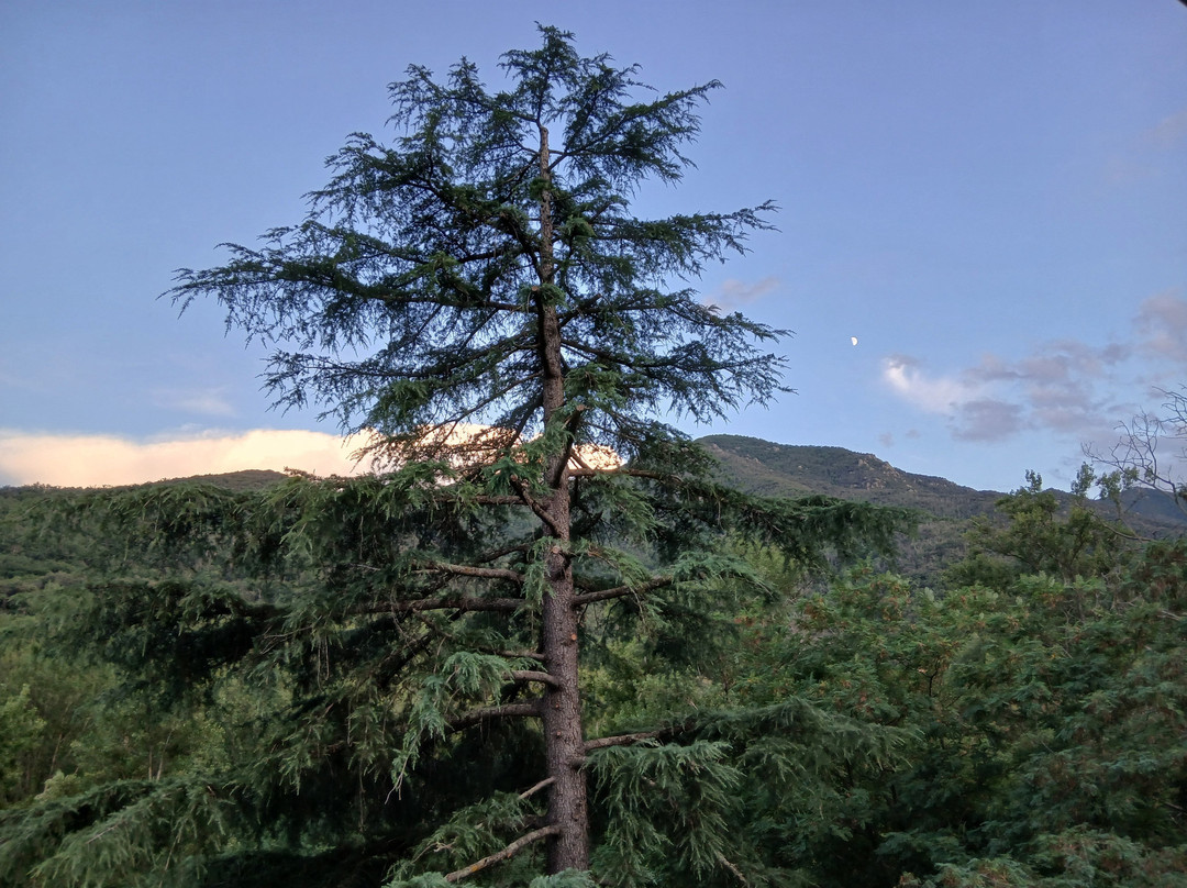 Appart Hôtel Castel Emeraude主图