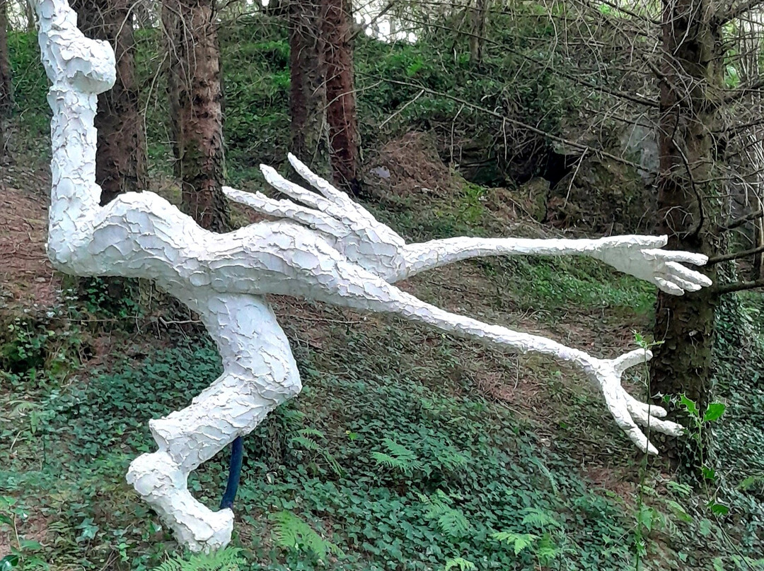 The Ewe Experience-Glengarriff必去景点