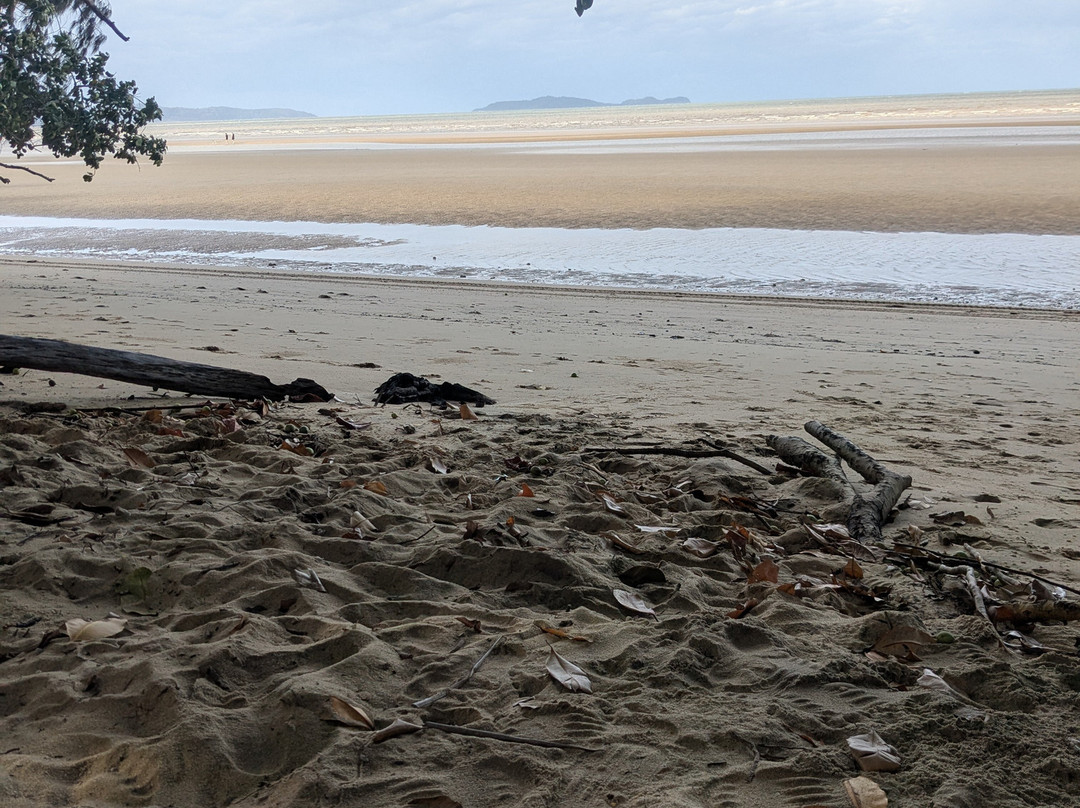 Wonga Beach-Wonga Beach必去景点