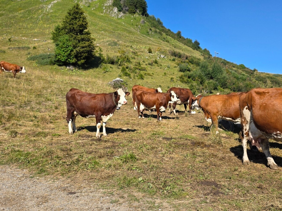 Lac de Gers-Samoens必去景点