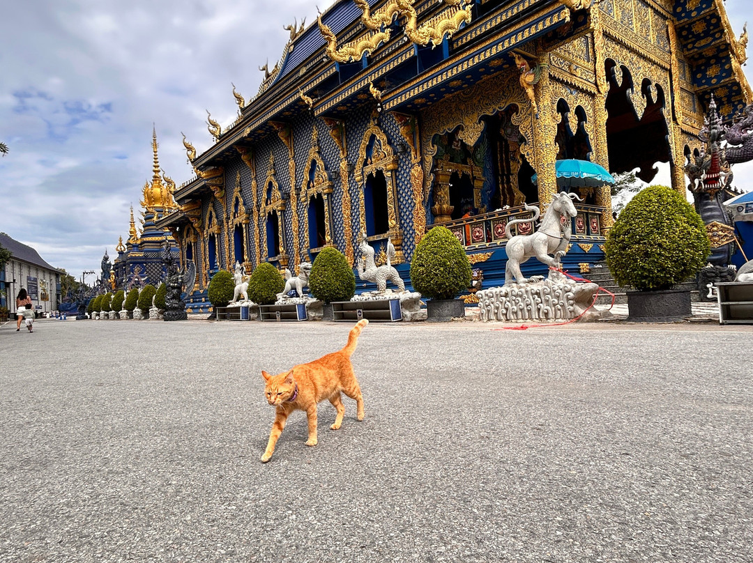 Thoonbangkoktaxiservice-曼谷必去景点