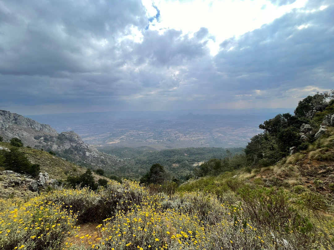 World's View-尼扬加必去景点