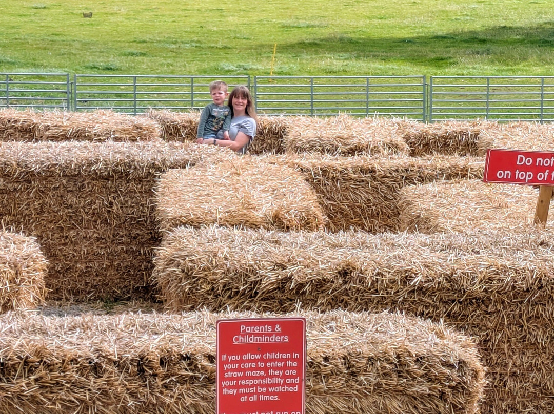Hesketh Farm Park-斯基普顿必去景点