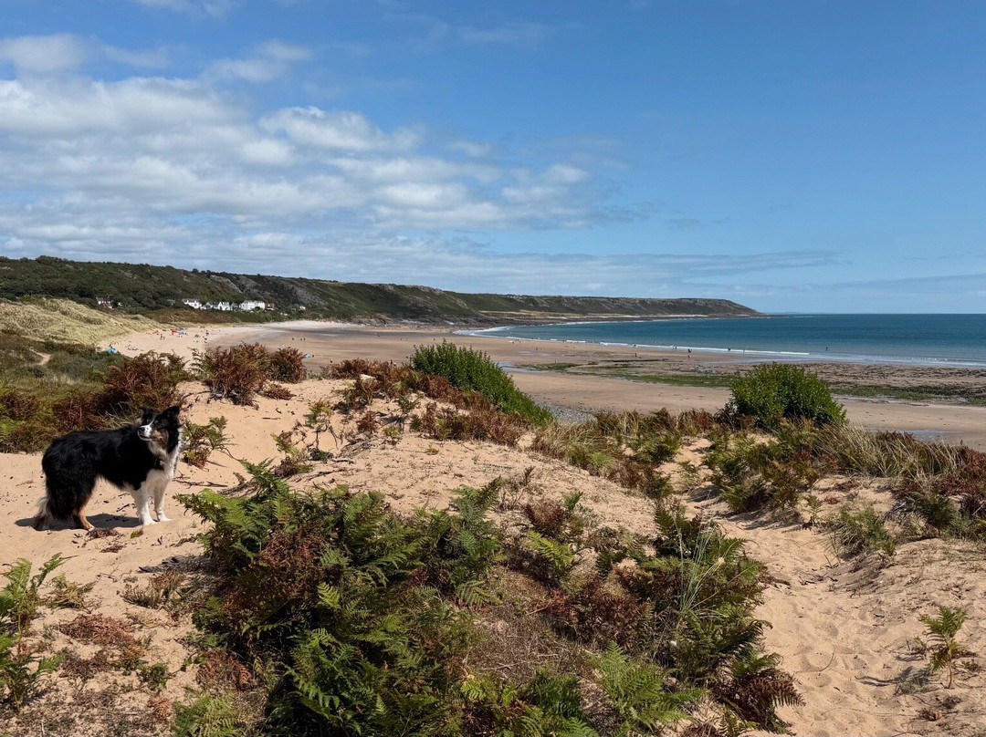 Culver House Hotel主图