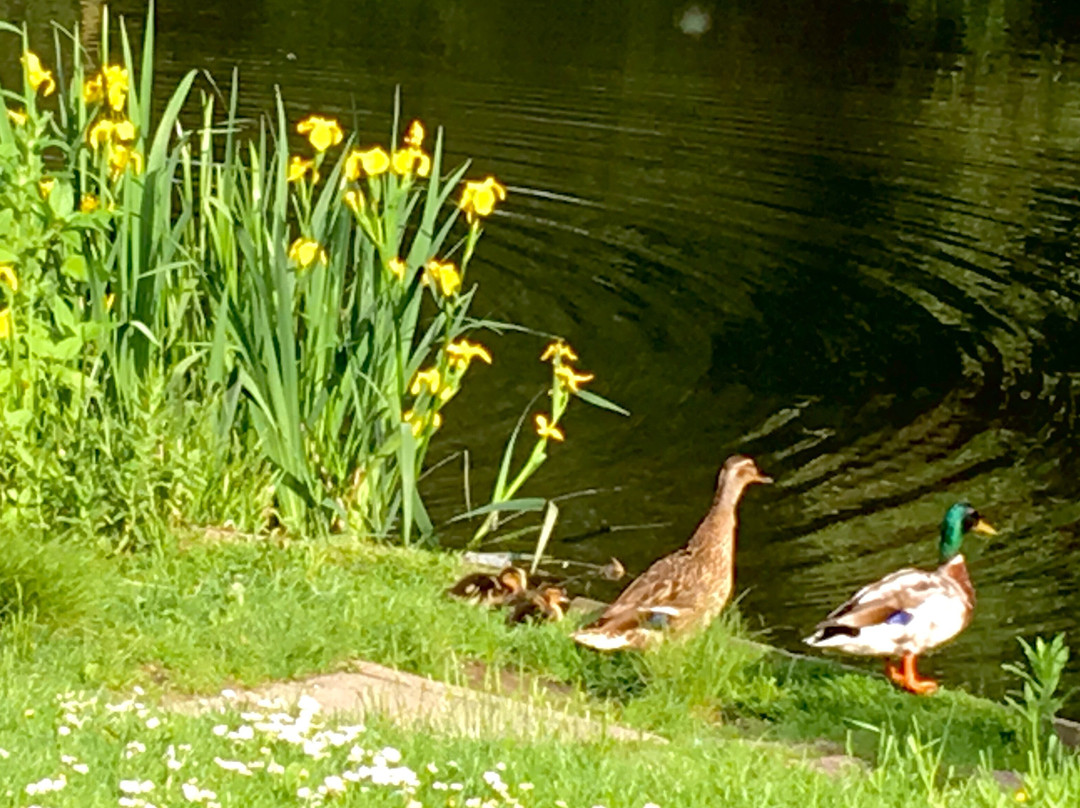 Orrell Water Park-Orrell必去景点