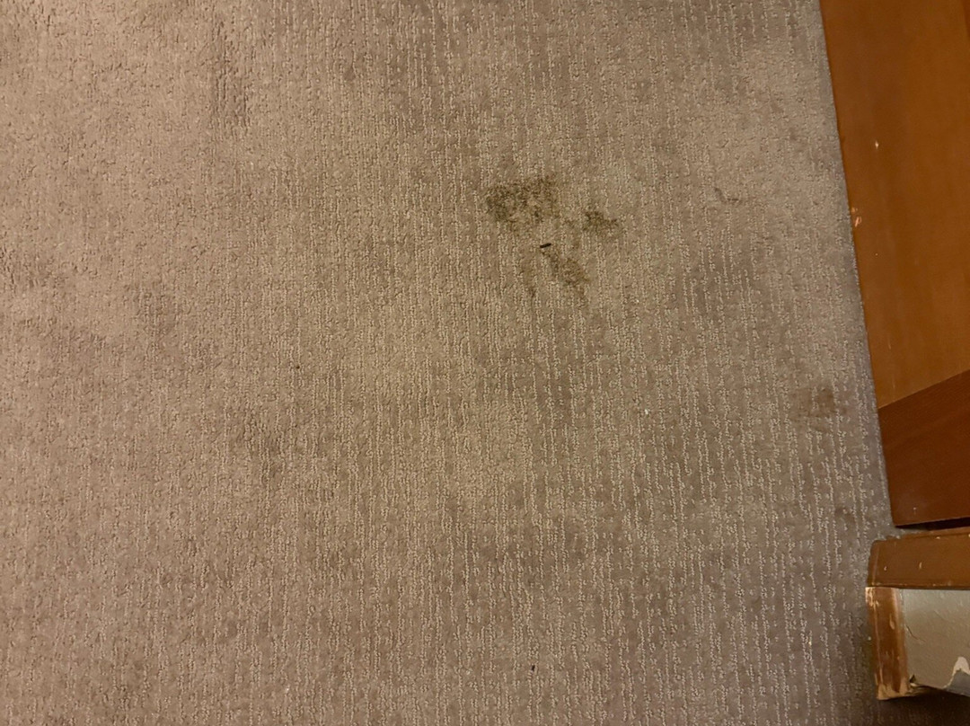 LOGE Alta Crystal主图