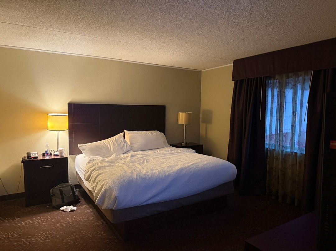 Holiday Inn Express & Suites Pittsburgh Airport by IHG主图