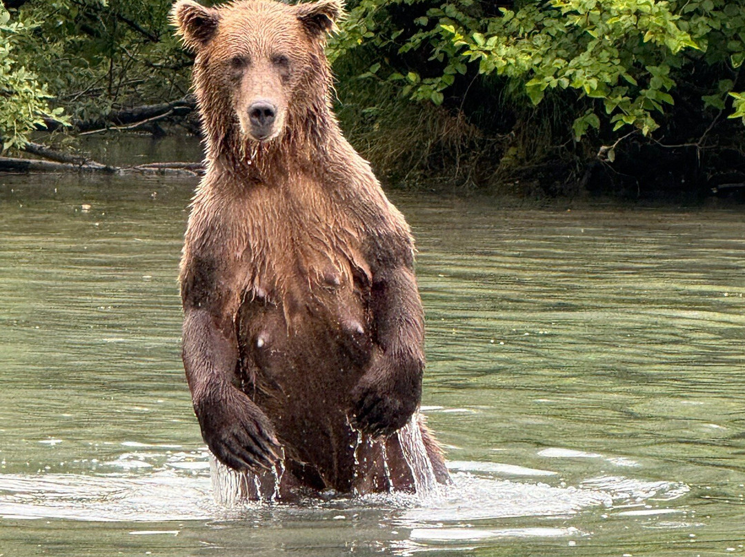 Talon Air Service-索尔多特纳必去景点