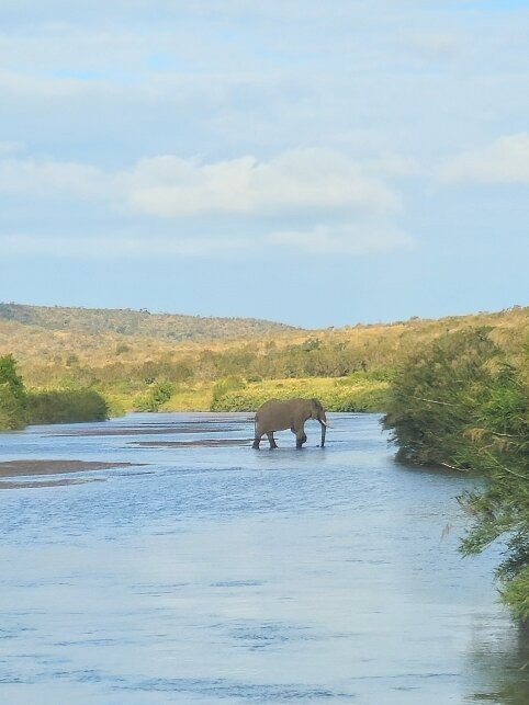 iMfolozi Game Reserve-Mtubatuba必去景点
